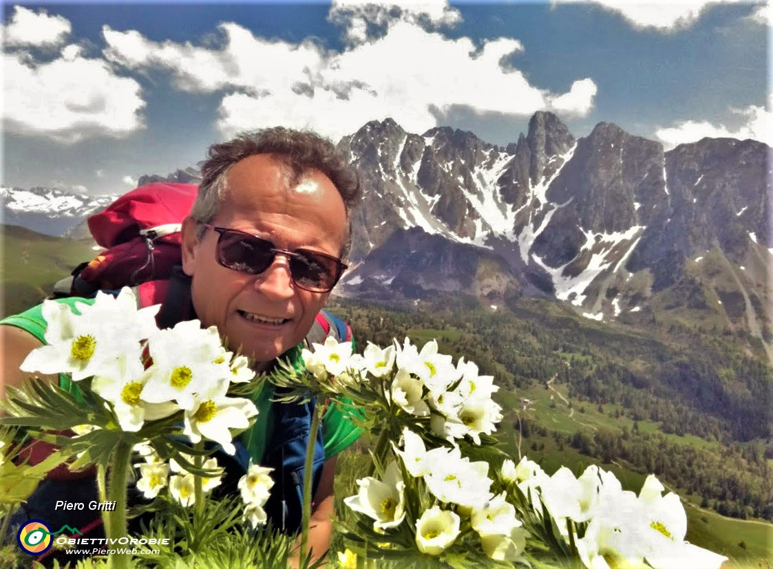 01 Anemoni narcissini (anemoni narcissiflora) dal Gardena per le PIccole Dolomiti Scalvine.jpg